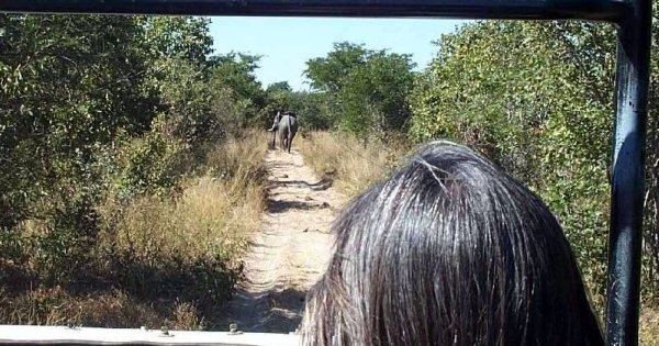 Johannesburg to Nairobi via Zimbabwe