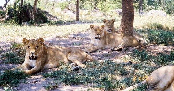 Johannesburg to Nairobi via Zimbabwe