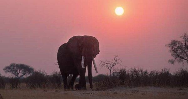 Johannesburg to Nairobi via Zimbabwe