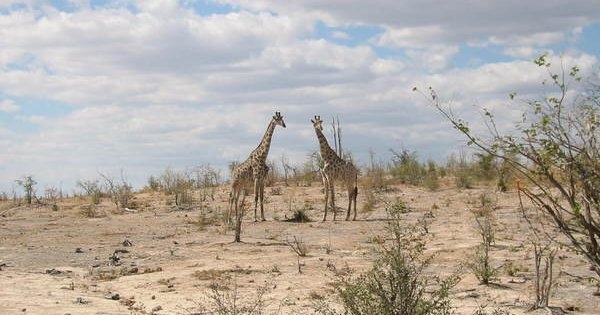 Johannesburg to Nairobi via Zimbabwe