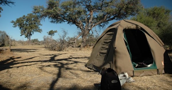 Southern Trek