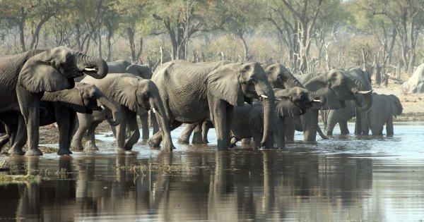 Southern Trek