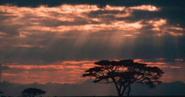 Cape Town to Dar Es Salaam