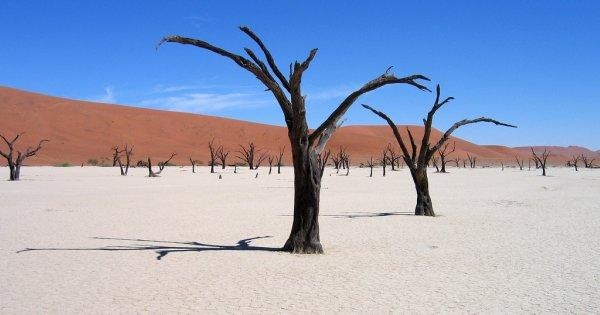 Discover South West Africa