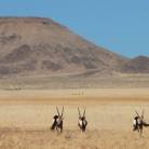 Swakopmund to Cape Town