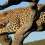 Magic Namibia