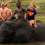Johannesburg to Vic Falls Family Tour