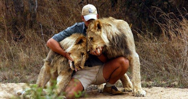 Johannesburg to Vic Falls Family Tour