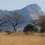 Kruger, Swaziland and St Lucia