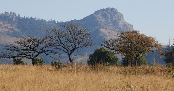 Swaziland top 20