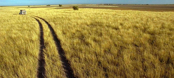 Okavango Delta to Johannesburg