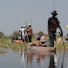 Okavango Delta to Victoria Falls