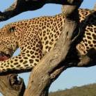 Okavango Delta Trail North