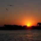 Okavango Delta Trail South