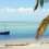 Classic Mozambique