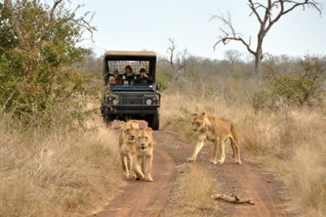 Classic Mozambique