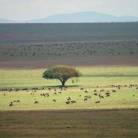 Falls to Serengeti