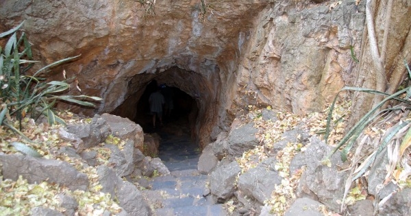 Zimbabwe Explorer
