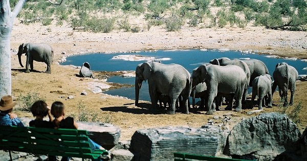 Etosha National Park Excursion