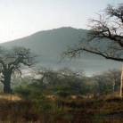 Best of East Africa