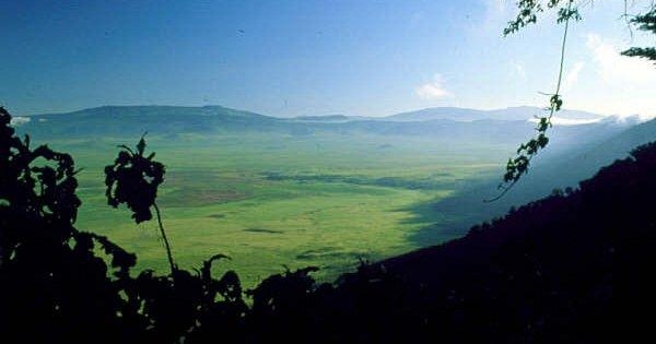Serengeti to the Falls