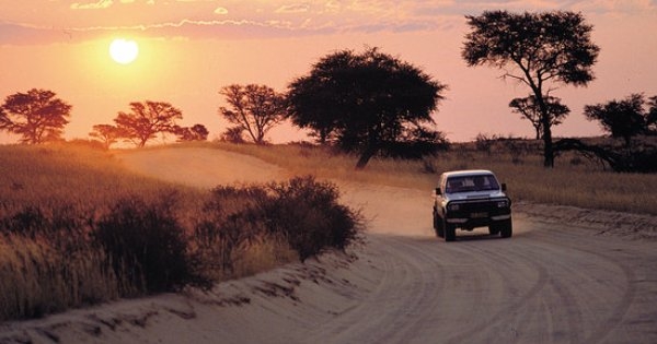 Kgalagadi Transfrontier NP, South-Africa