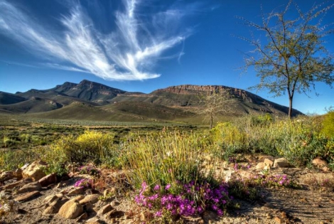 Cape Town to Victoria Falls Accommodated Tour