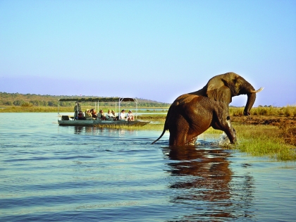 Cape Town to Victoria Falls Accommodated Tour