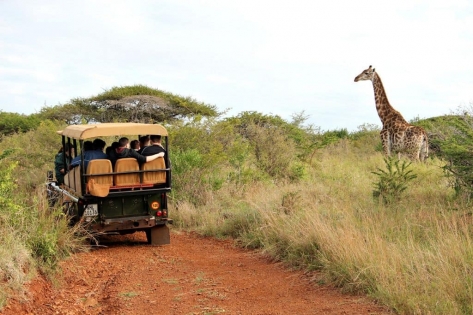 South African Explorer