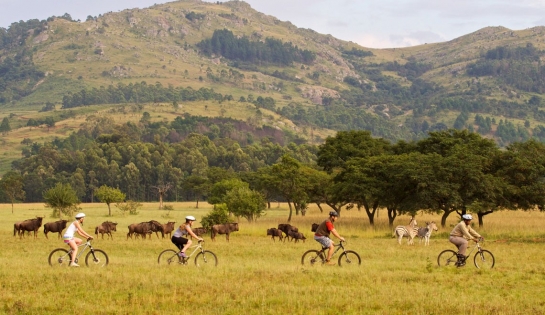 South African Explorer
