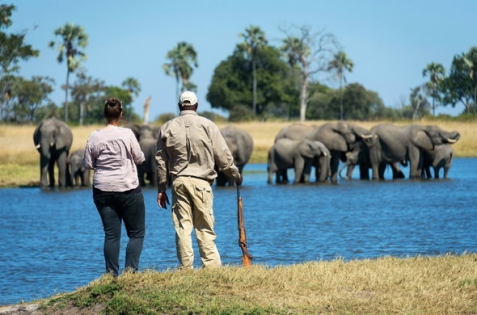 Best of Zimbabwe Tour