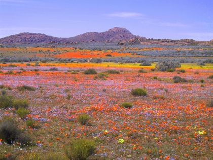 Best of Namibia