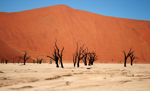 Best of Namibia