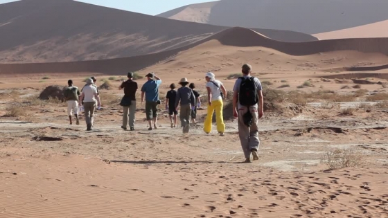 Best of Namibia