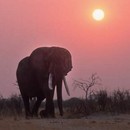 Hwange National Park