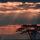Zimbabwe Sunrise