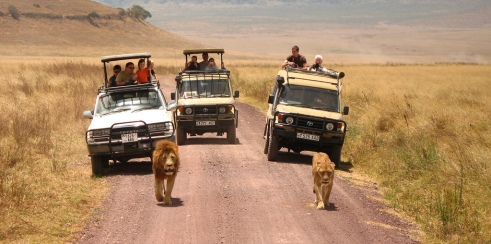 Ngorongoro Crater Game Drive Ngorongoro Crater Game Drive