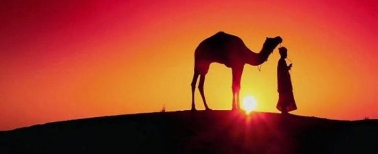 marrakech.camelsunset marrakech.camelsunset