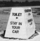 5 5