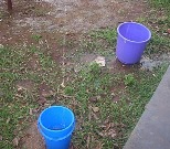 rain-collecting