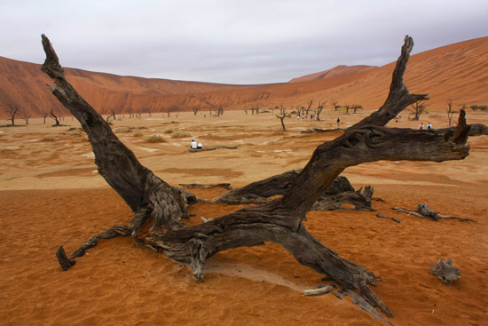 Deadvlei Deadvlei