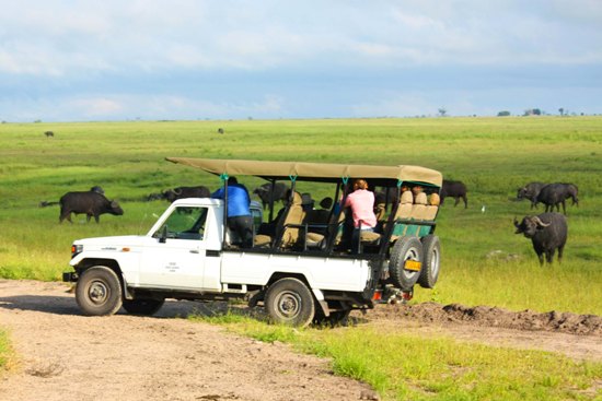 4x4 safari in Chobe 4x4 safari in Chobe
