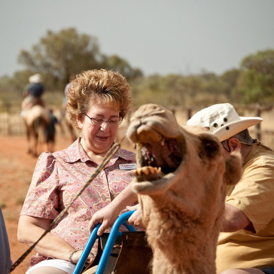 Kenya Camel Safari Kenya Camel Safari