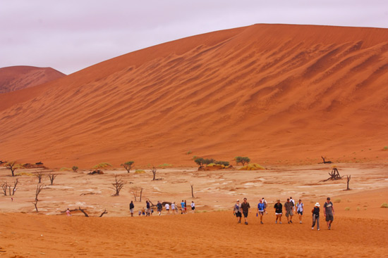 Deadvlei-and-Sossusvlei