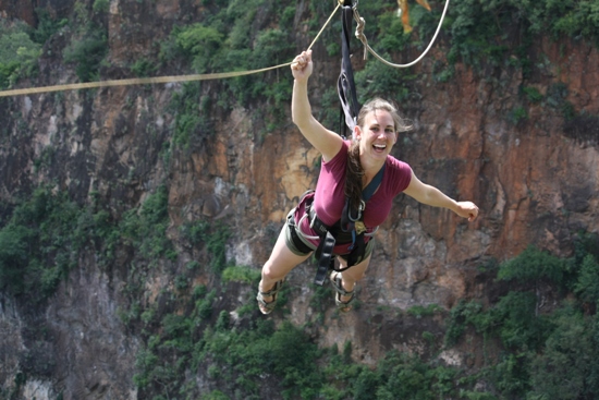 Flying Fox Flying Fox
