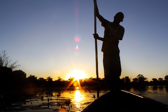 Mokoro ride at sunset Mokoro ride at sunset through the Okavango Delta