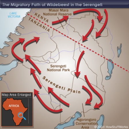 Wildebeest-Migration-Map