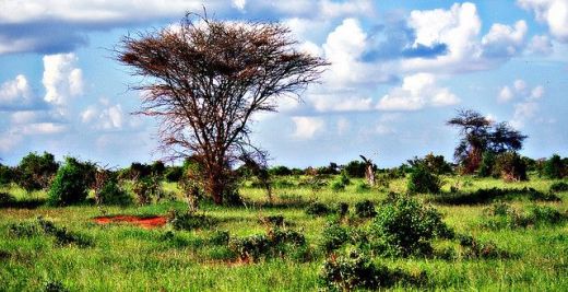 kenya skies by Cristina Sbu resized kenya skies by Cristina Sbu resized