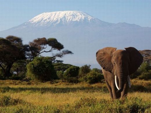 mount-kilimanjaro-by Steven Pollack resized mount-kilimanjaro-by Steven Pollack resized