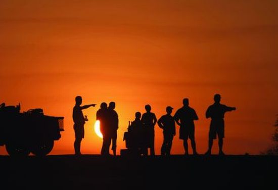 Overlanders game drive at sunset